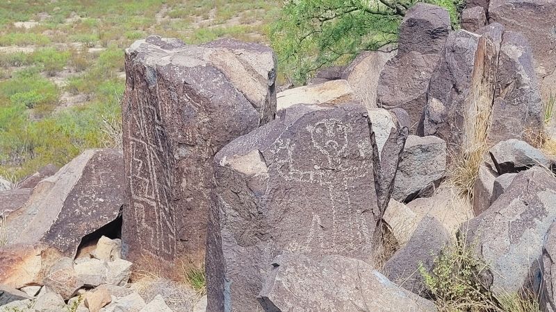 Petroglyphs along the hiking trail image. Click for full size.