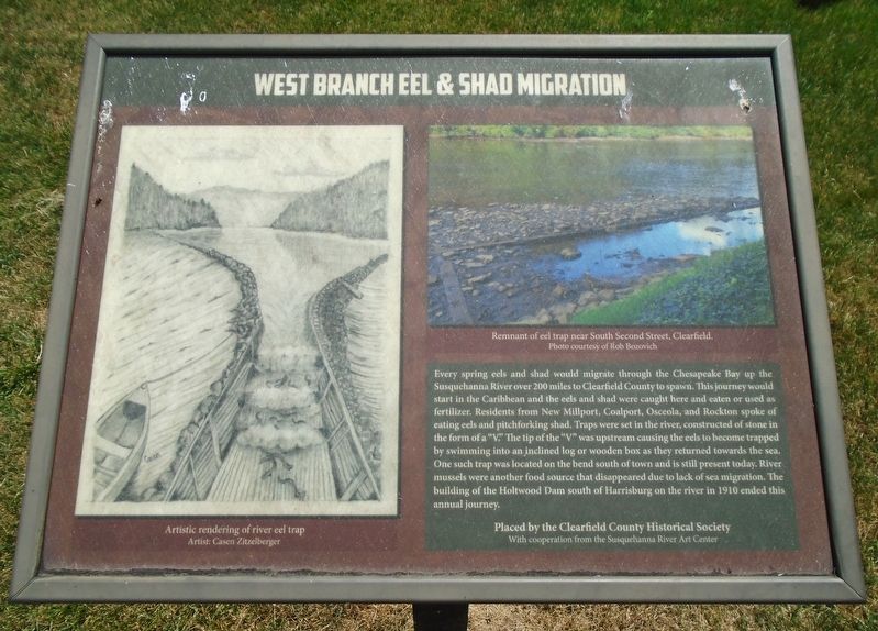 West Branch Eel & Shad Migration Marker. Click for full size. West Branch Eel & Shad Migration Marker image. Click for full size.