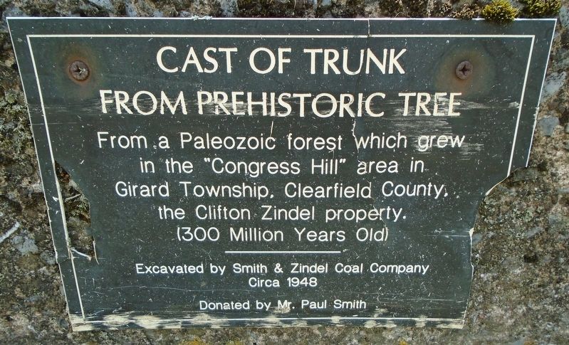 Cast of Trunk from Prehistoric Tree Marker. Click for full size. Cast of Trunk from Prehistoric Tree Marker image. Click for full size.