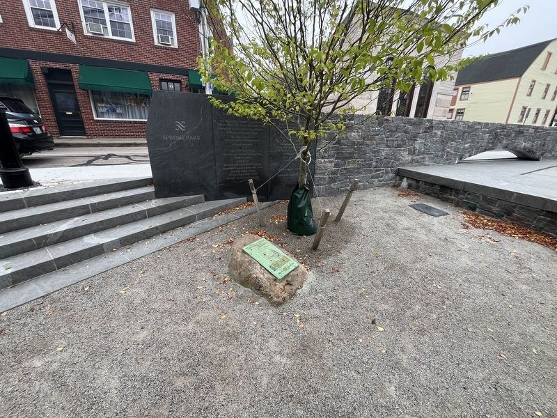 The Old Town Spring Marker. Click for full size. The Old Town Spring Marker image. Click for full size.