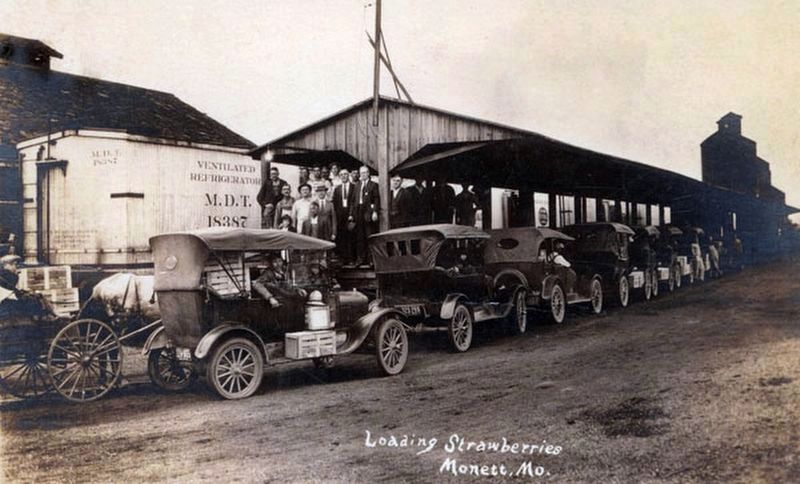Loading Strawberries image. Click for full size.