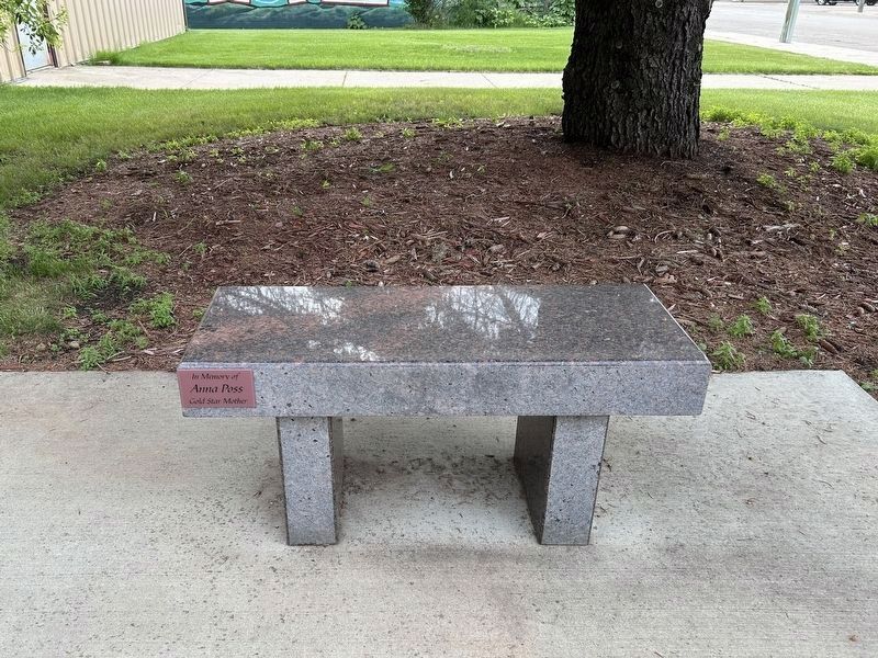 White Area Veterans Memorial Bench. Click for full size. White Area Veterans Memorial Bench image. Click for full size.