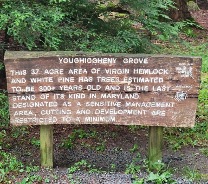Youghiogheny Grove Marker image. Click for full size.