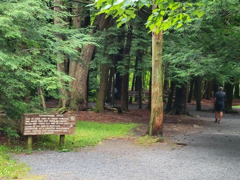 Youghiogheny Grove Marker image. Click for full size.