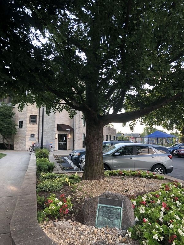 Two markers and the ginkgo tree. Click for full size. Two markers and the ginkgo tree image. Click for full size.