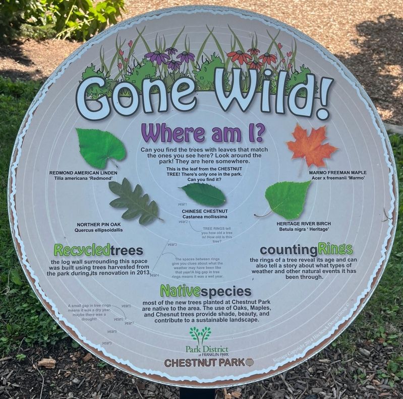 Gone Wild! Marker. Click for full size. Gone Wild! Marker image. Click for full size.