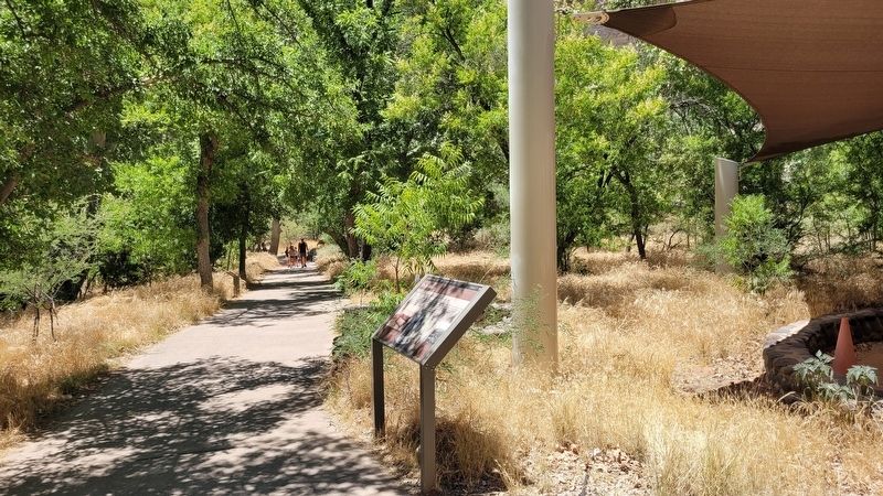 The view of the On the Move Marker along the trail image. Click for full size.