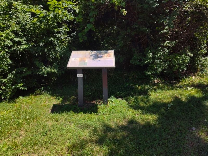 Tecumseh Point Marker. Click for full size. Tecumseh Point Marker image. Click for full size.