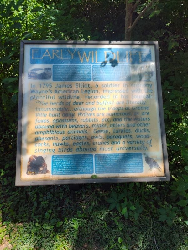 Early Wildlife Marker image. Click for full size.