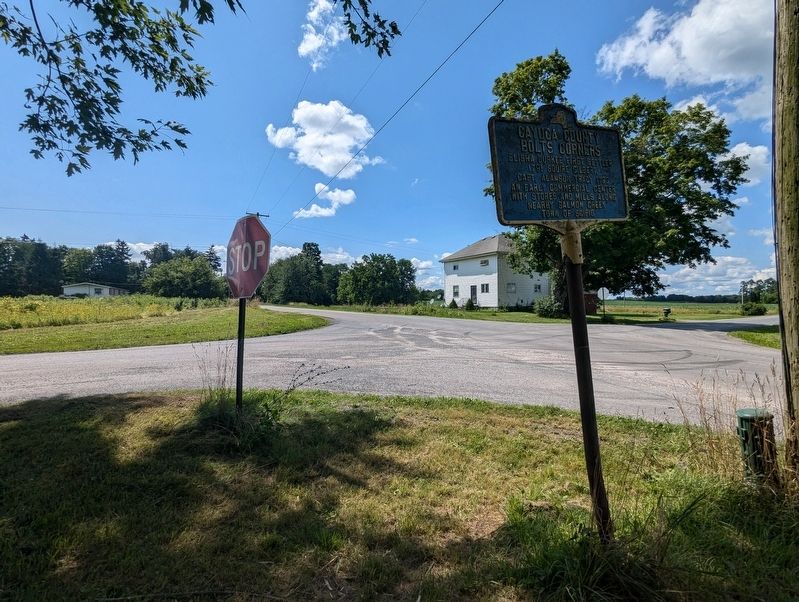 Cayuga County Marker image. Click for full size.
