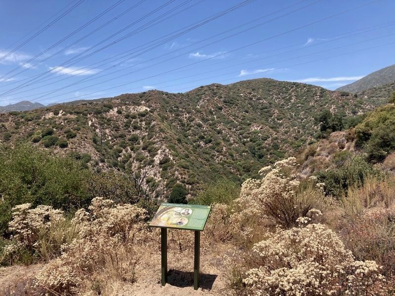 El Prieto Canyon and Marker. Click for full size. El Prieto Canyon and Marker image. Click for full size.