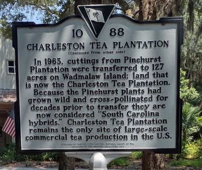 Charleston Tea Plantation Marker (side 2) image. Click for full size.