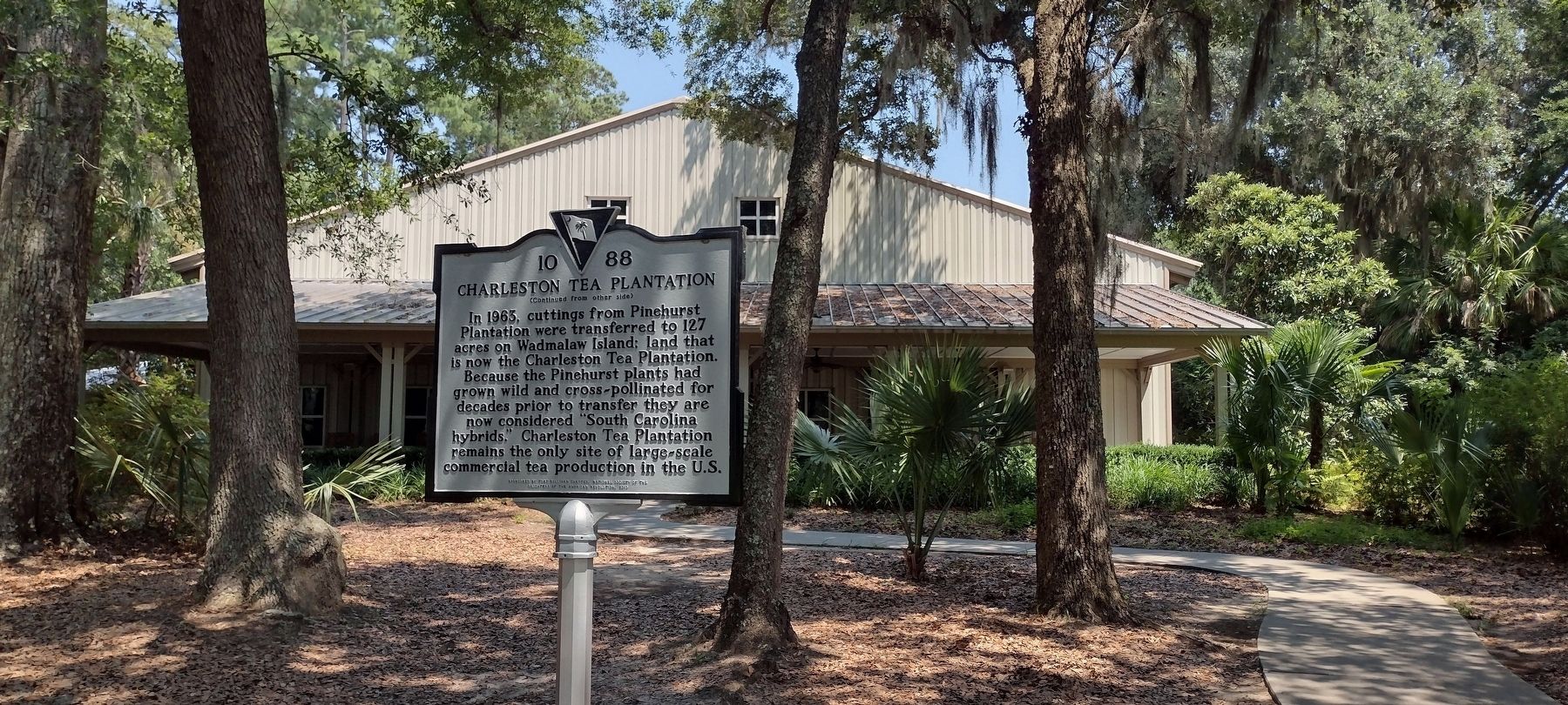 Charleston Tea Plantation Marker image. Click for full size.
