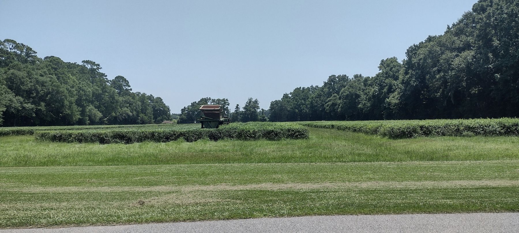 Tea field and harvester image. Click for full size.