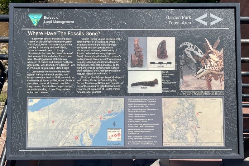 Where Have The Fossils Gone? Marker. Click for full size. Where Have The Fossils Gone? Marker image. Click for full size.