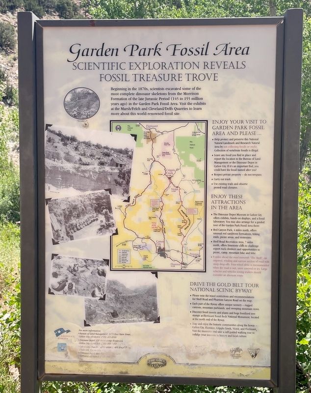 Garden Park Fossil Area - Scientific Exploration Reveals Fossil Treasure Trove. image. Click for full size.