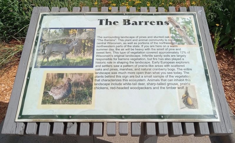 The Barrens Marker. Click for full size. The Barrens Marker image. Click for full size.