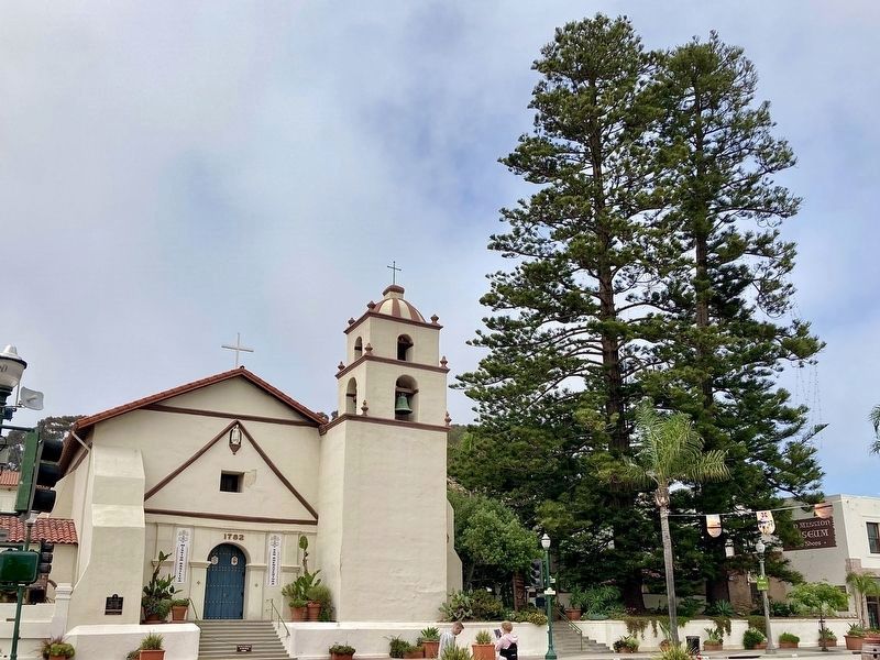 Mission and Norfolk Pine Trees image. Click for full size.