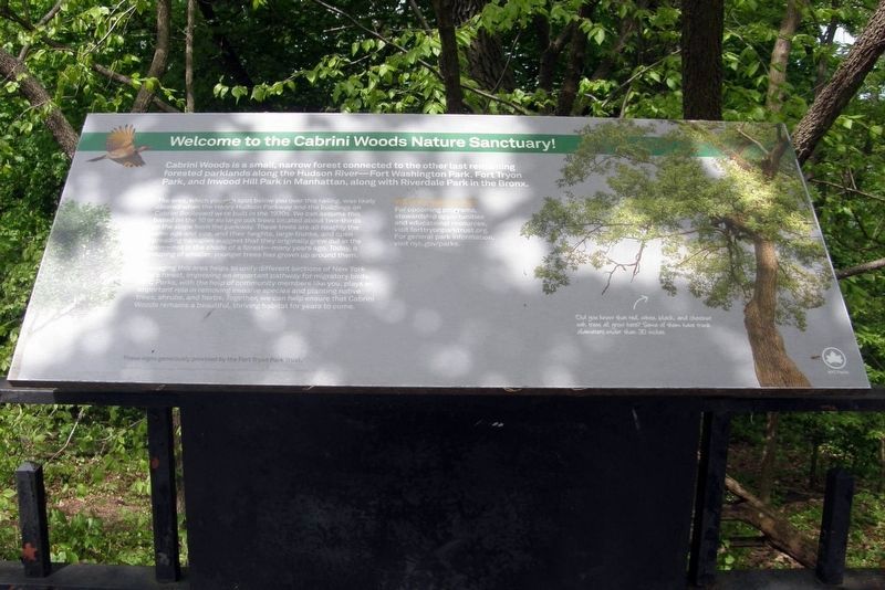 Welcome to the Cabrini Woods Nature Sanctuary! wayside. Click for full size. Welcome to the Cabrini Woods Nature Sanctuary! wayside image. Click for full size.