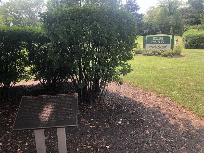 Anne Marcisz Memorial Pathway Marker and Elm Park sign image. Click for full size.