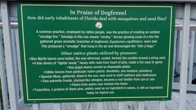 In Praise of Dogfennel Marker. Click for full size. In Praise of Dogfennel Marker image. Click for full size.