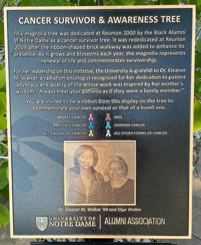 Cancer Survivor & Awareness Tree Marker image. Click for full size.