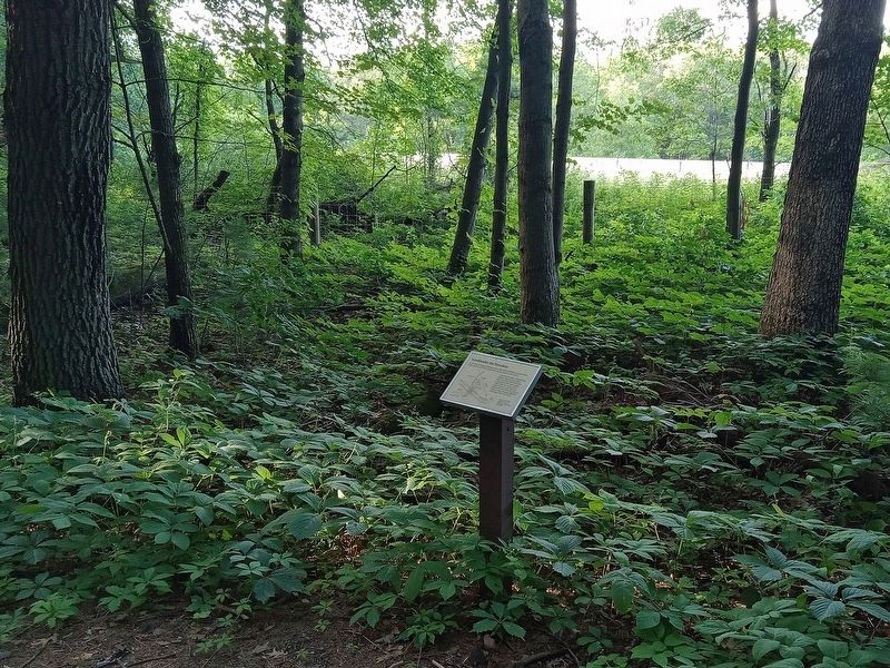 Landmarks for Travelers Marker facing Interstate 90/94 in Mill Bluff State Park image. Click for full size.