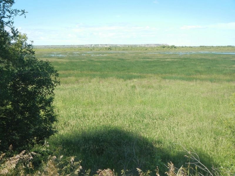 Cut Bluff Overlook. Click for full size. Cut Bluff Overlook image. Click for full size.