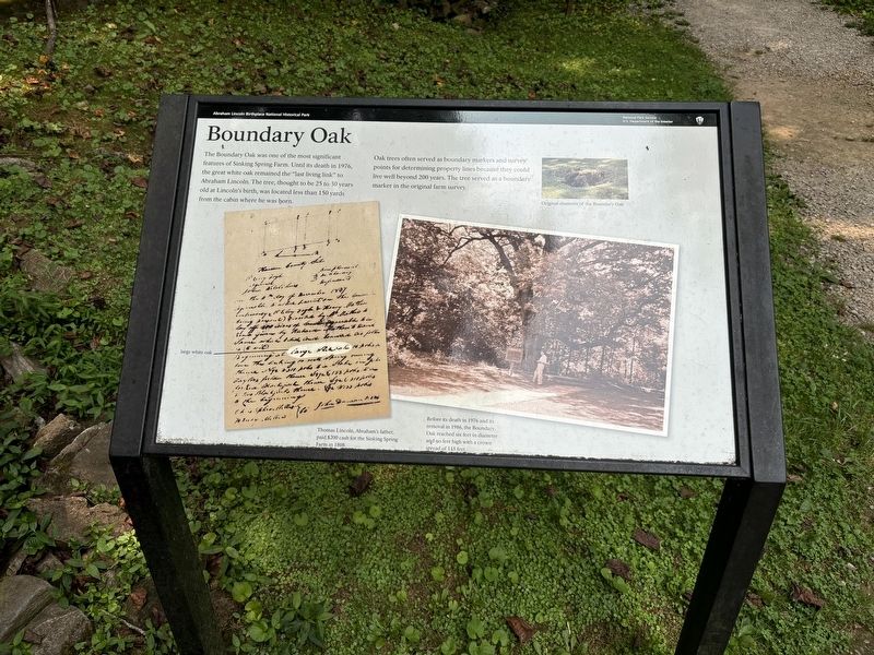 Boundary Oak Marker. Click for full size. Boundary Oak Marker image. Click for full size.