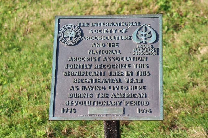 Landmark Oak plaque image. Click for full size.