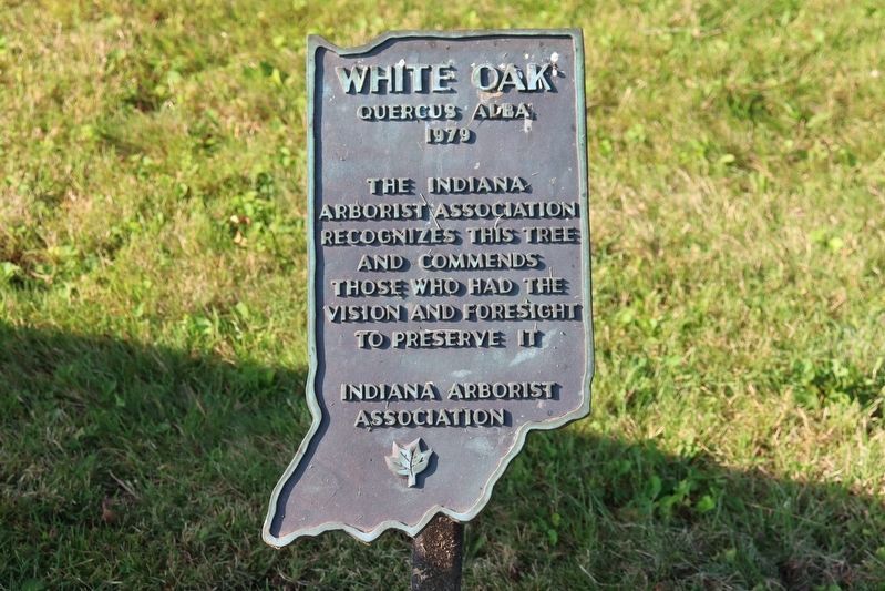 Landmark Oak plaque image. Click for full size.