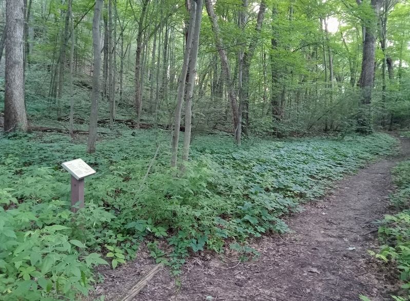 The Big Lake Marker on the trail around Mill Bluff image. Click for full size.