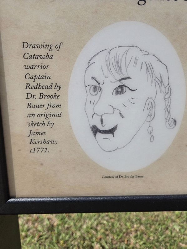 Closeup of Captain Redhead drawing image. Click for full size.