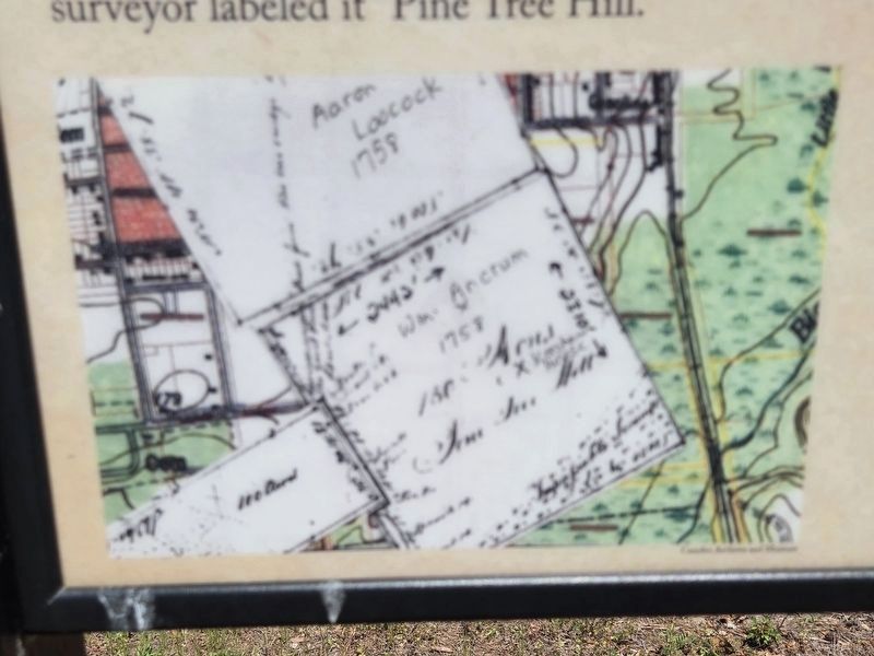 Closeup of original survey for William Ancrum of Pine Tree Hill. Click for full size. Closeup of original survey for William Ancrum of Pine Tree Hill image. Click for full size.
