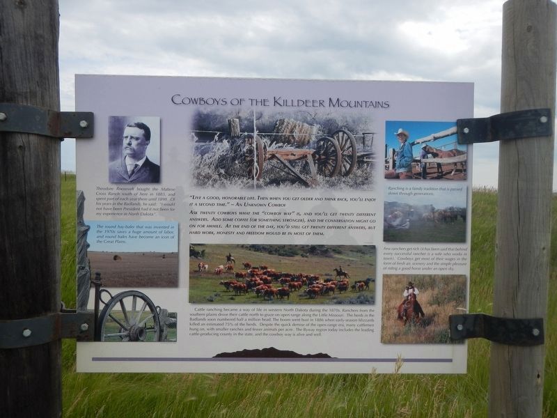 Mountain of the Medicine Hole Marker: Cowboys of the Killdeer Mountains. Click for full size. Mountain of the Medicine Hole Marker: Cowboys of the Killdeer Mountains image. Click for full size.