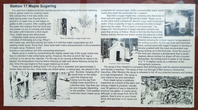 Station 17: Maple Sugaring Marker. Click for full size. Station 17: Maple Sugaring Marker image. Click for full size.