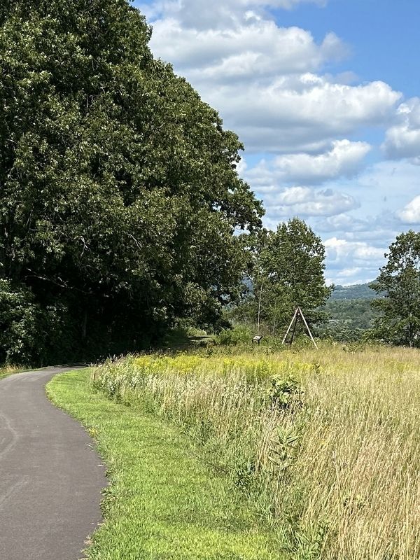 Looking North Along Path to Kościuszko Marker image. Click for full size.
