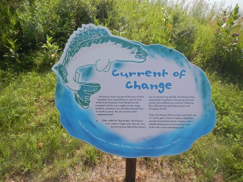 Current of Change Marker. Click for full size. Current of Change Marker image. Click for full size.