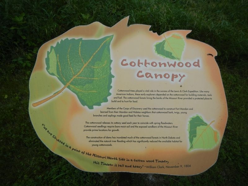 Cottonwood Canopy Marker. Click for full size. Cottonwood Canopy Marker image. Click for full size.