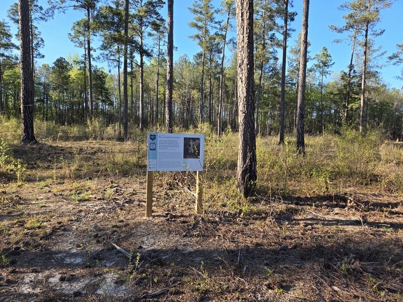 Recovering from Camden Marker along Interpretive trail north of the parking area. Click for full size. Recovering from Camden Marker along Interpretive trail north of the parking area image. Click for full size.