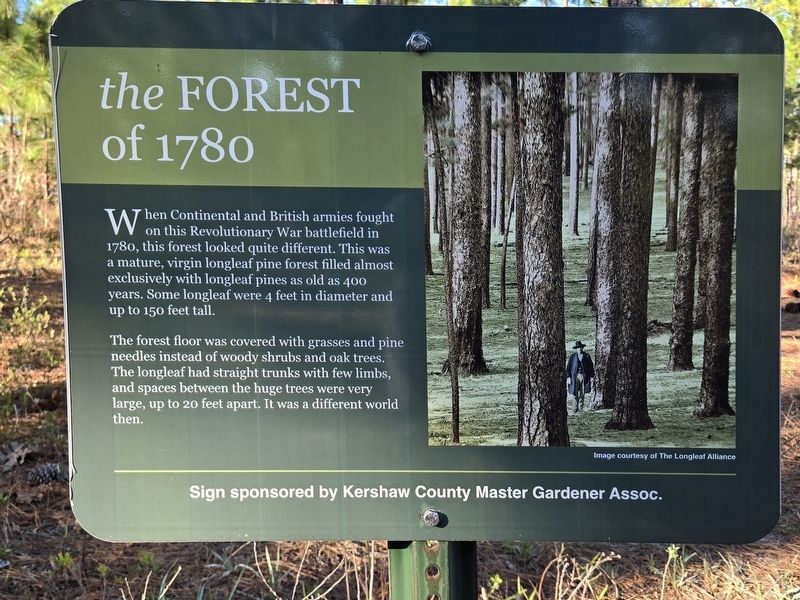 The Forest of 1780 Marker. Click for full size. The Forest of 1780 Marker image. Click for full size.