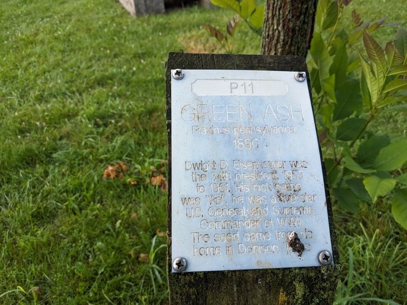 Green Ash Marker. Click for full size. Green Ash Marker image. Click for full size.