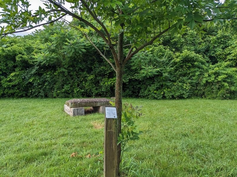 Green Ash Marker. Click for full size. Green Ash Marker image. Click for full size.