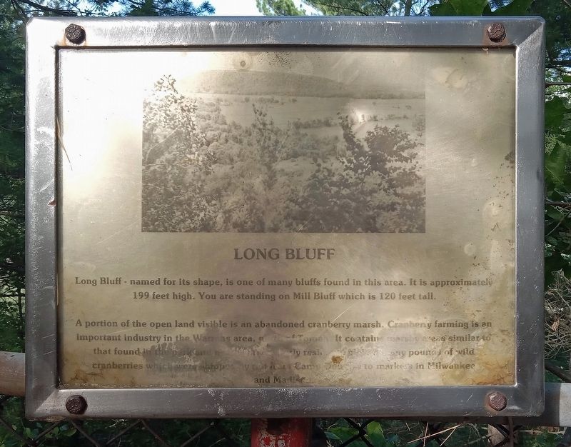Long Bluff Marker image. Click for full size.