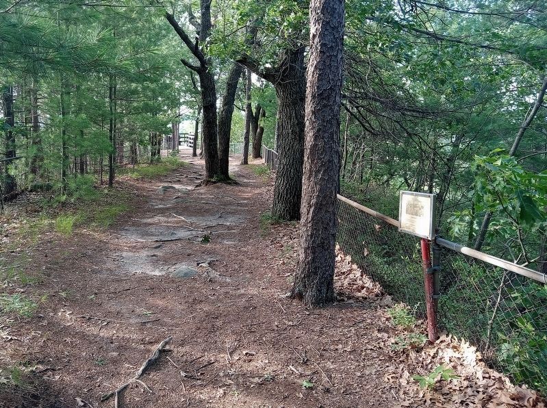Long Bluff Marker on the trail along the top of Mill Bluff image. Click for full size.