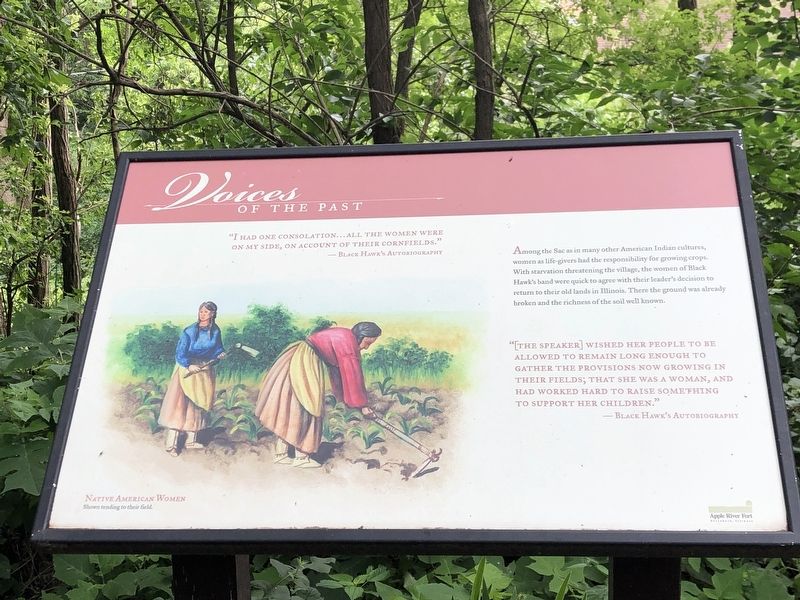 Voices of the Past Marker. Click for full size. Voices of the Past Marker image. Click for full size.