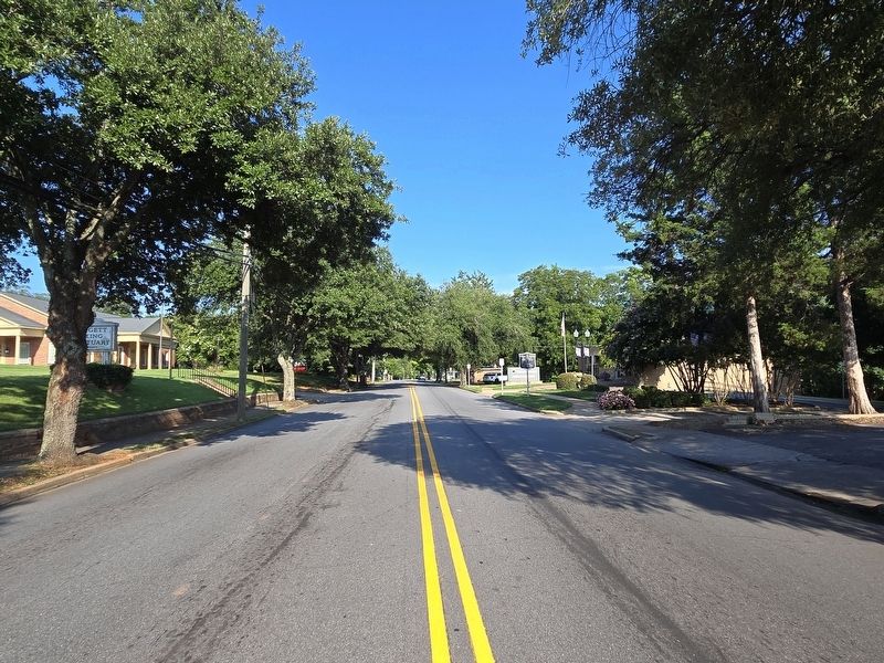 Memorial Trees along East Main Street. Click for full size. Memorial Trees along East Main Street image. Click for full size.