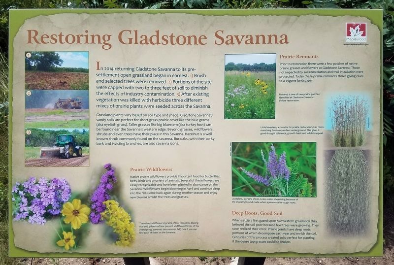 Restoring Gladstone Savanna Marker image. Click for full size.