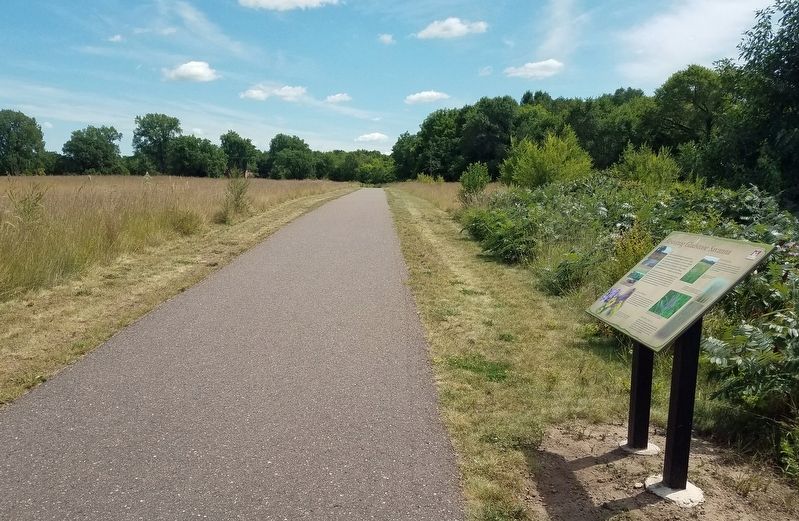 Restoring Gladstone Savanna Marker in Gladstone Savanna image. Click for full size.