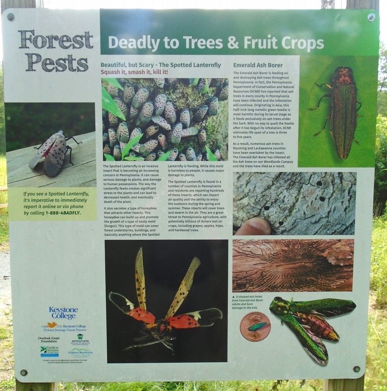 Forest Pests Marker (nearby). Click for full size. Forest Pests Marker (nearby) image. Click for full size.